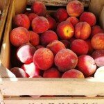 Peach clafouti Peach clafouti